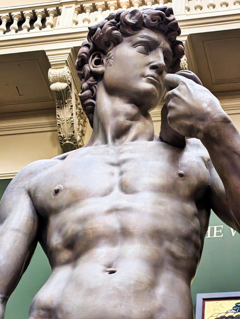 Plaster Cast