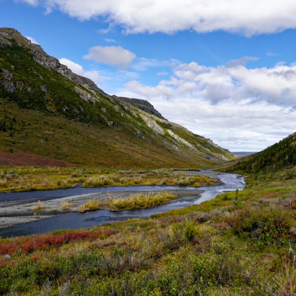 From Alaska
