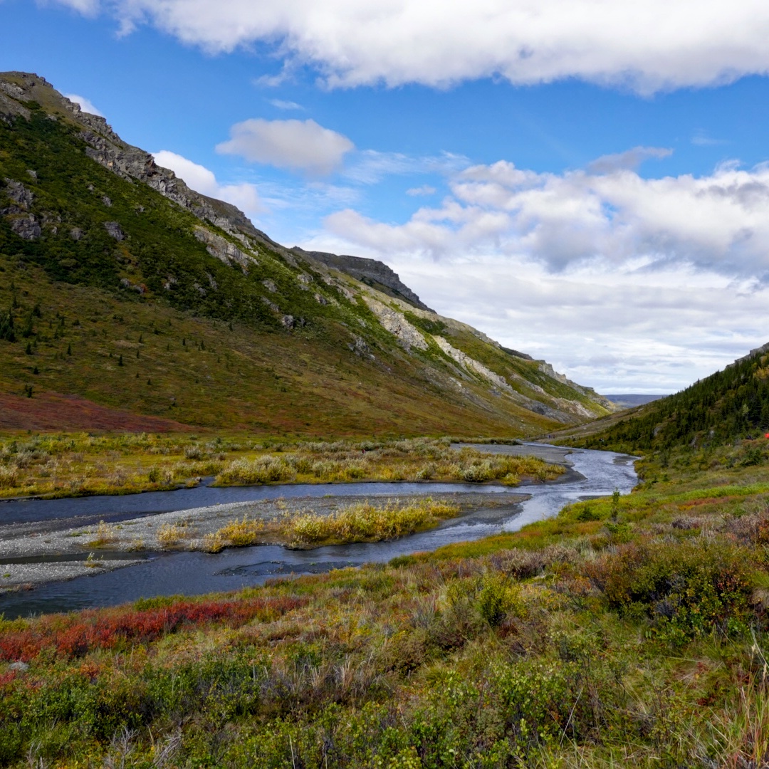 Read more about the article From Alaska