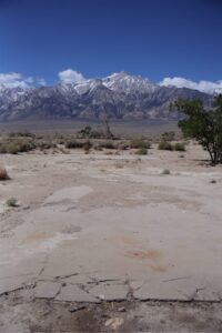 Manzanar Foundations - Reclaiming History 