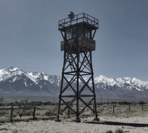 Reclaiming History - The Tower