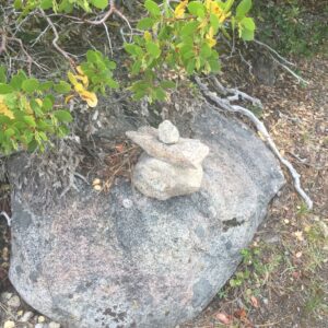 Helpful Duckor an Angel In Dusguise