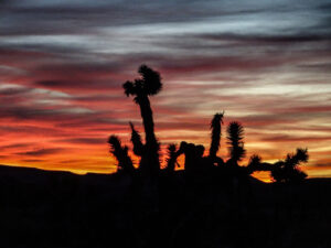 Sunset at the Booth Site