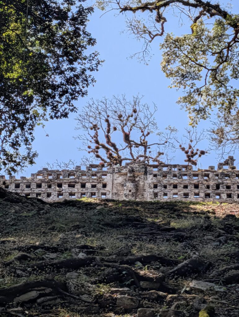 Honeycomb at Yaxchilán