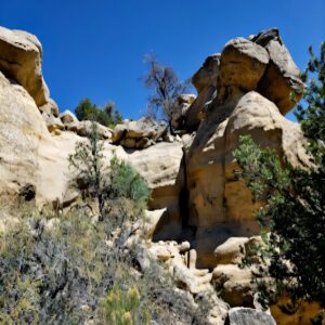 Around the Cache Area - Aura Raines Visits Aztec