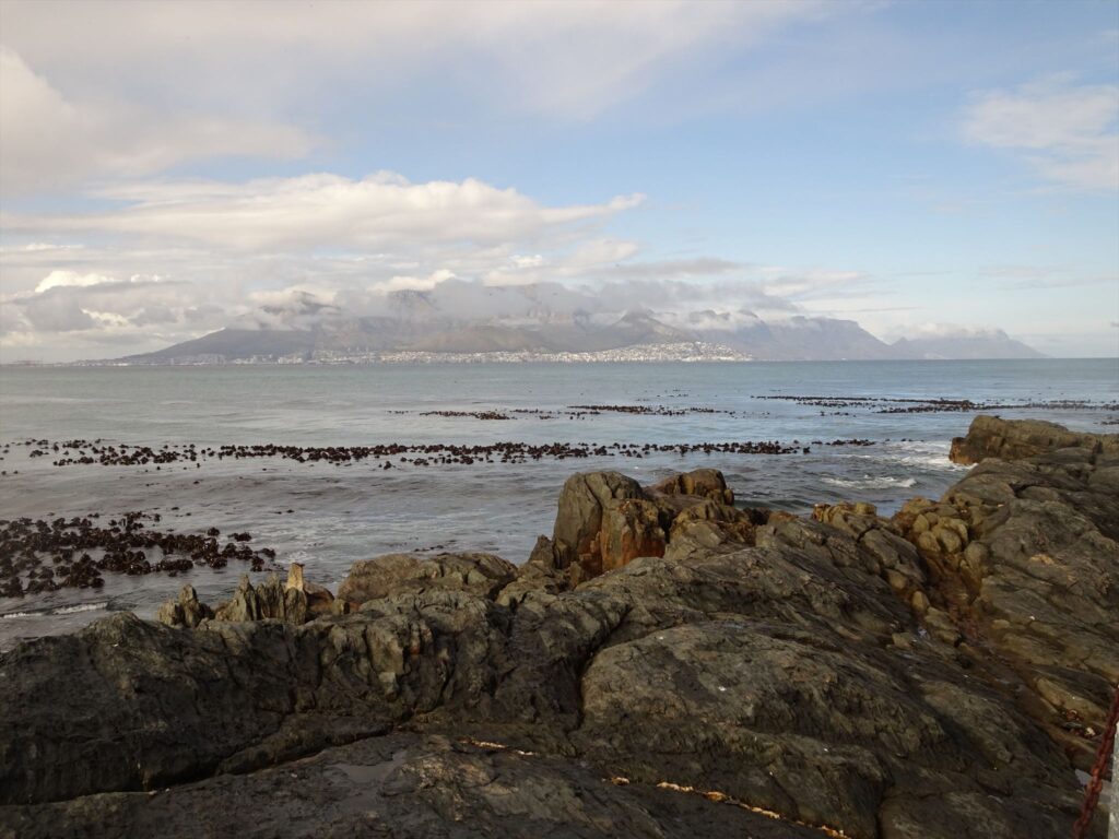 Robben Island View