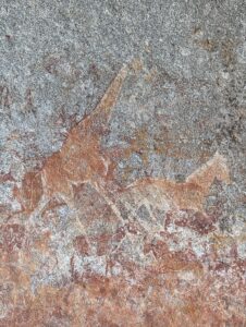 Cheetah or Lion or Giraffe