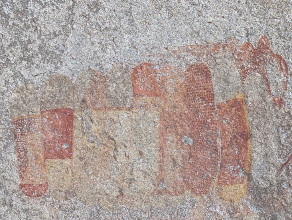 Cheetah or Lion - A vision?