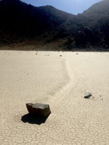 Tracked - Racing Across the Desert