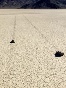 Race is On - Racing Across the Desert