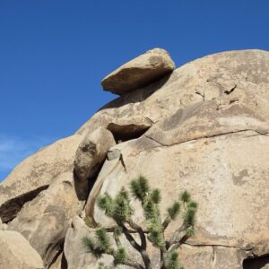 Cap Rock at Joshua Tree - Grievous Angel