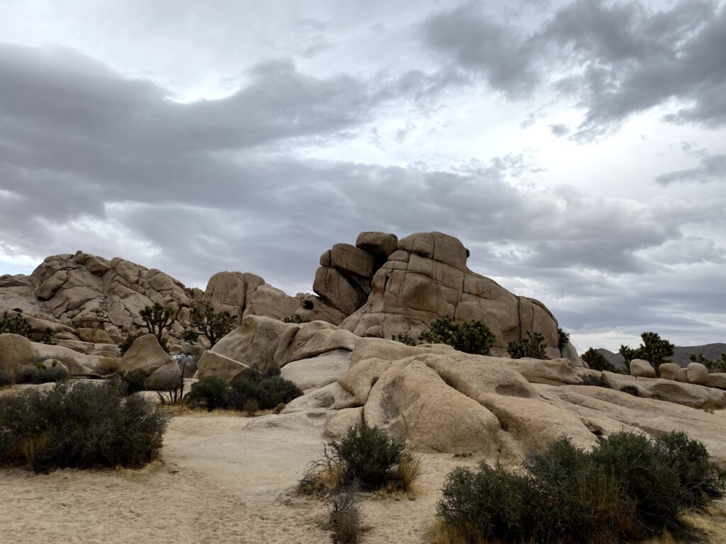 Desert Manifesto - Desert Rocks 