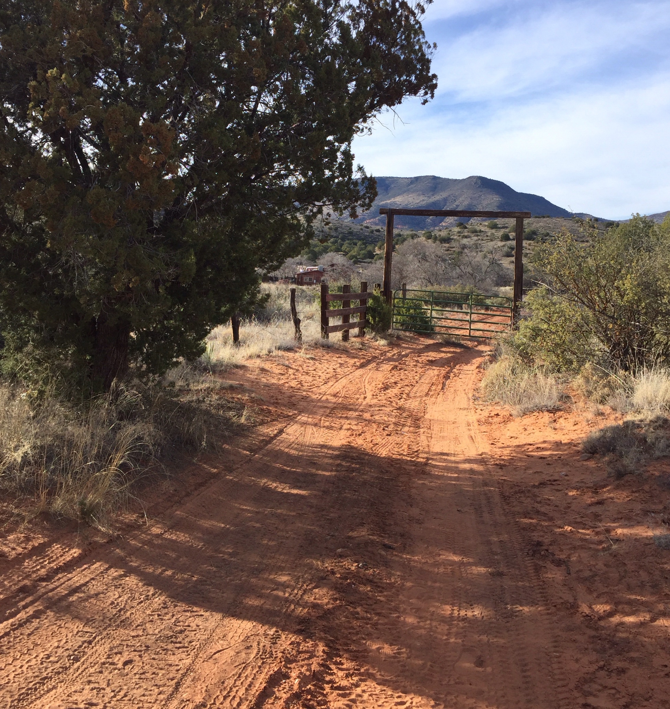 Read more about the article Vortex, Shadow, and the Red Rock Mind