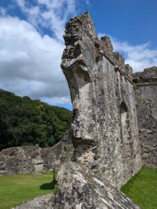 Ghostly Intrigue of Okehampton Castle - Walls