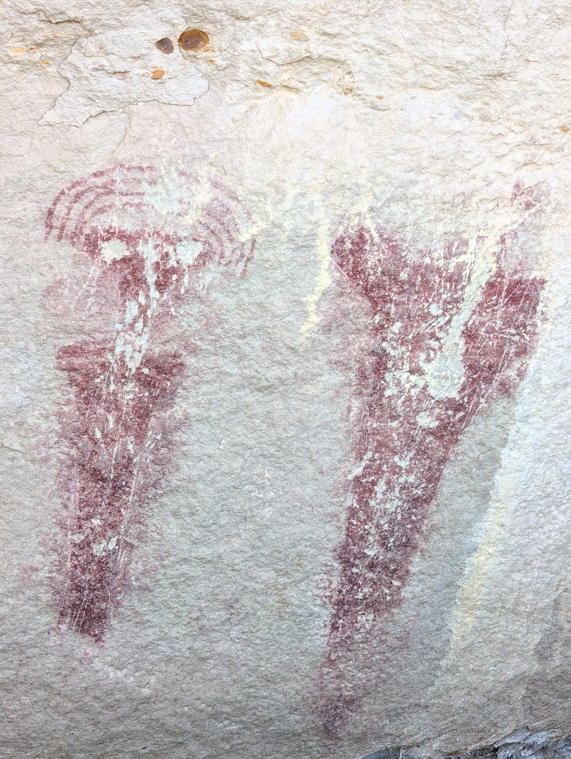 Ancient ones